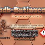 ADB Butinaca (0,5gr)